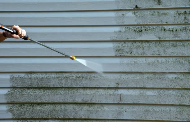 Best Gutter Cleaning and Brightening in Grant, NE